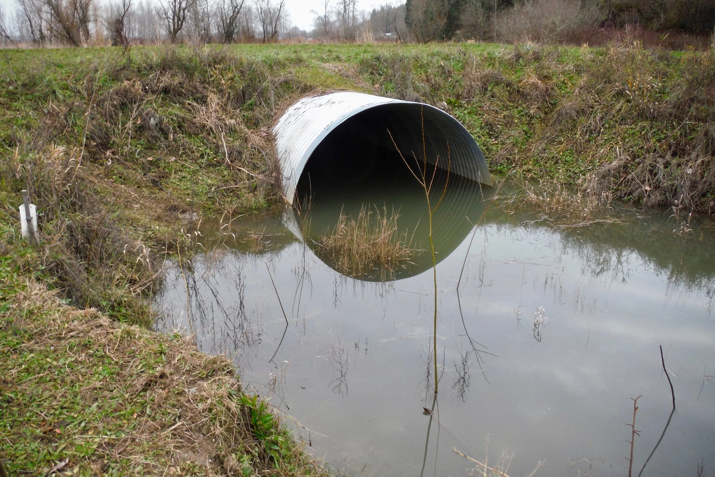 Half-Full Culvert