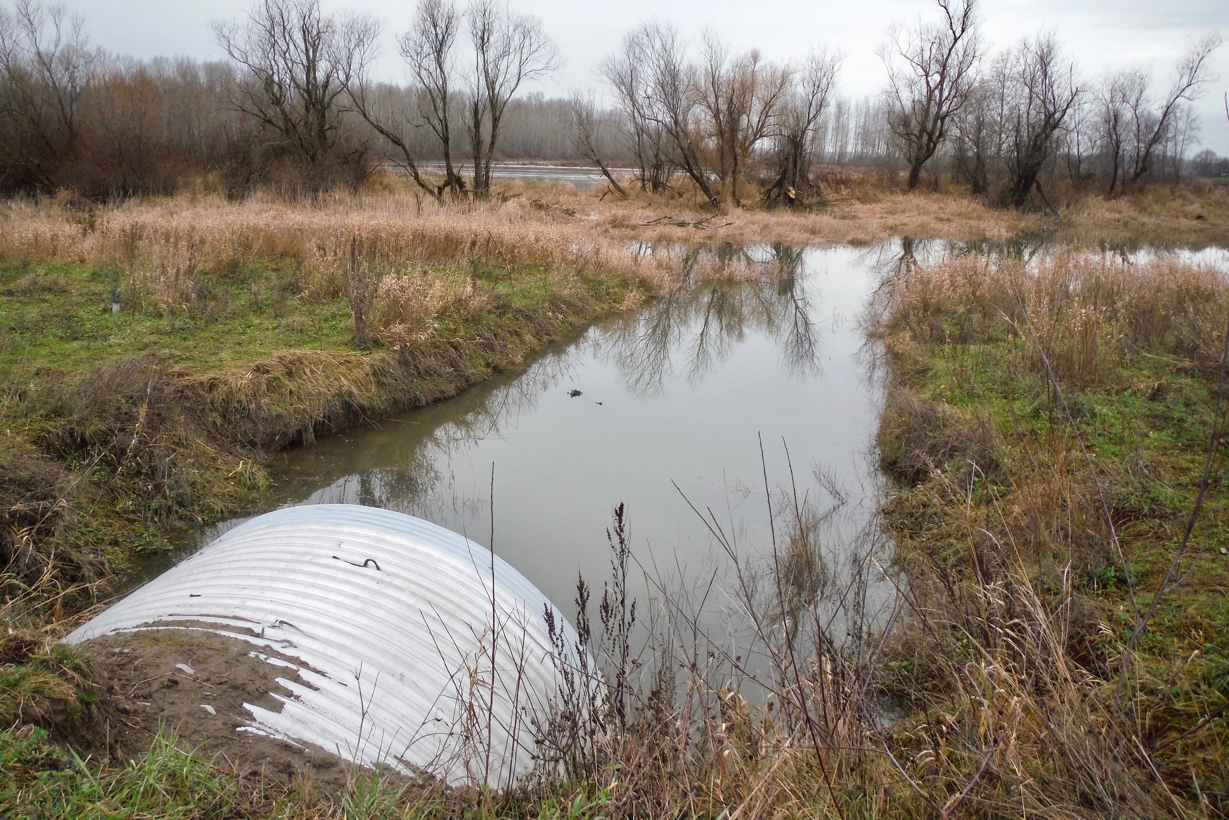 Channel Flooding