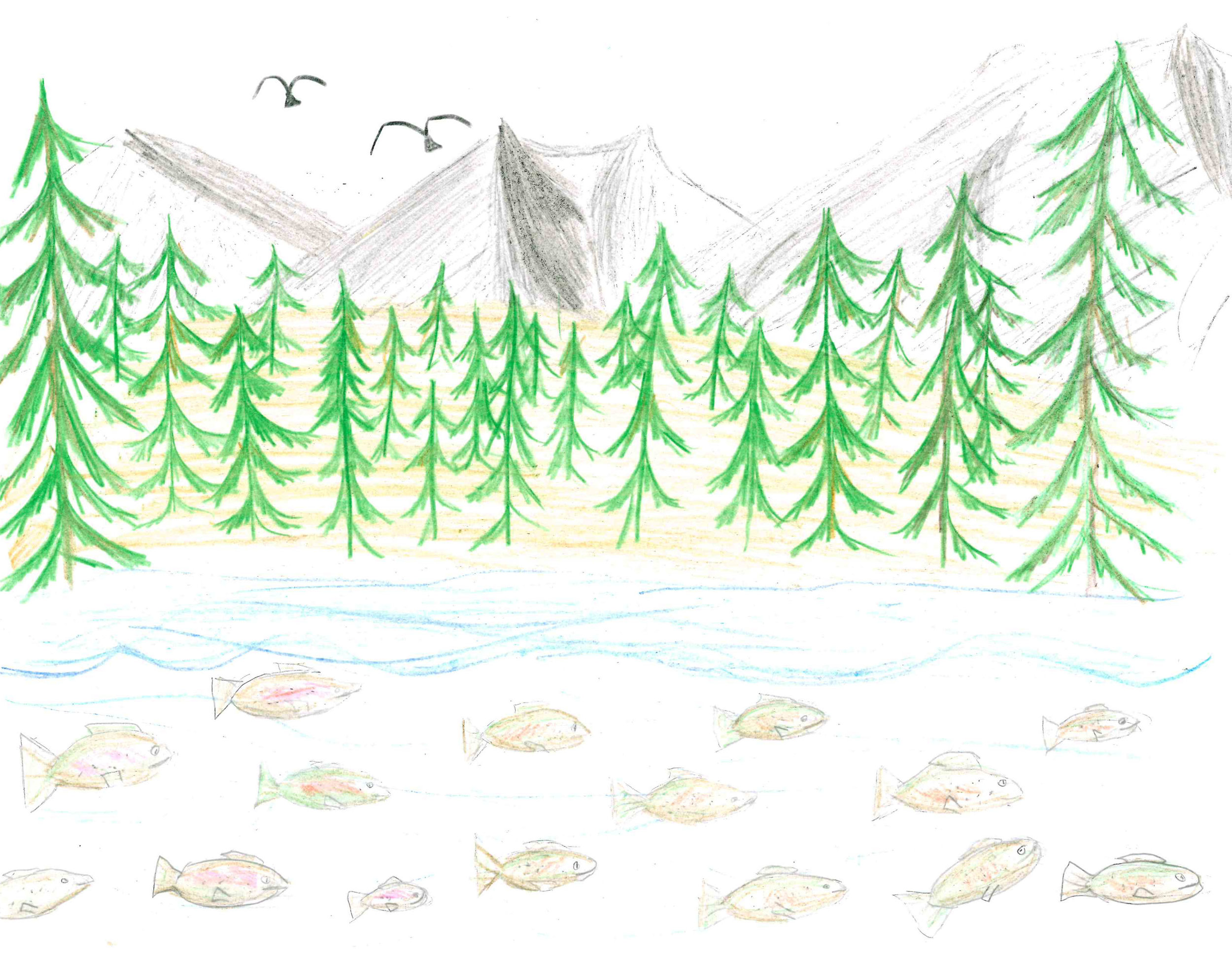 Salmon Upstream by Sofia Scicchitano - 2nd Place - Grades 6-8