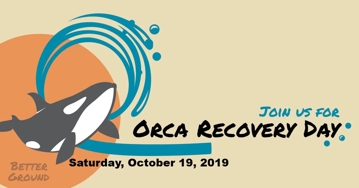 orcaRecoveryDaySocialMediaPostTiles4.jpg