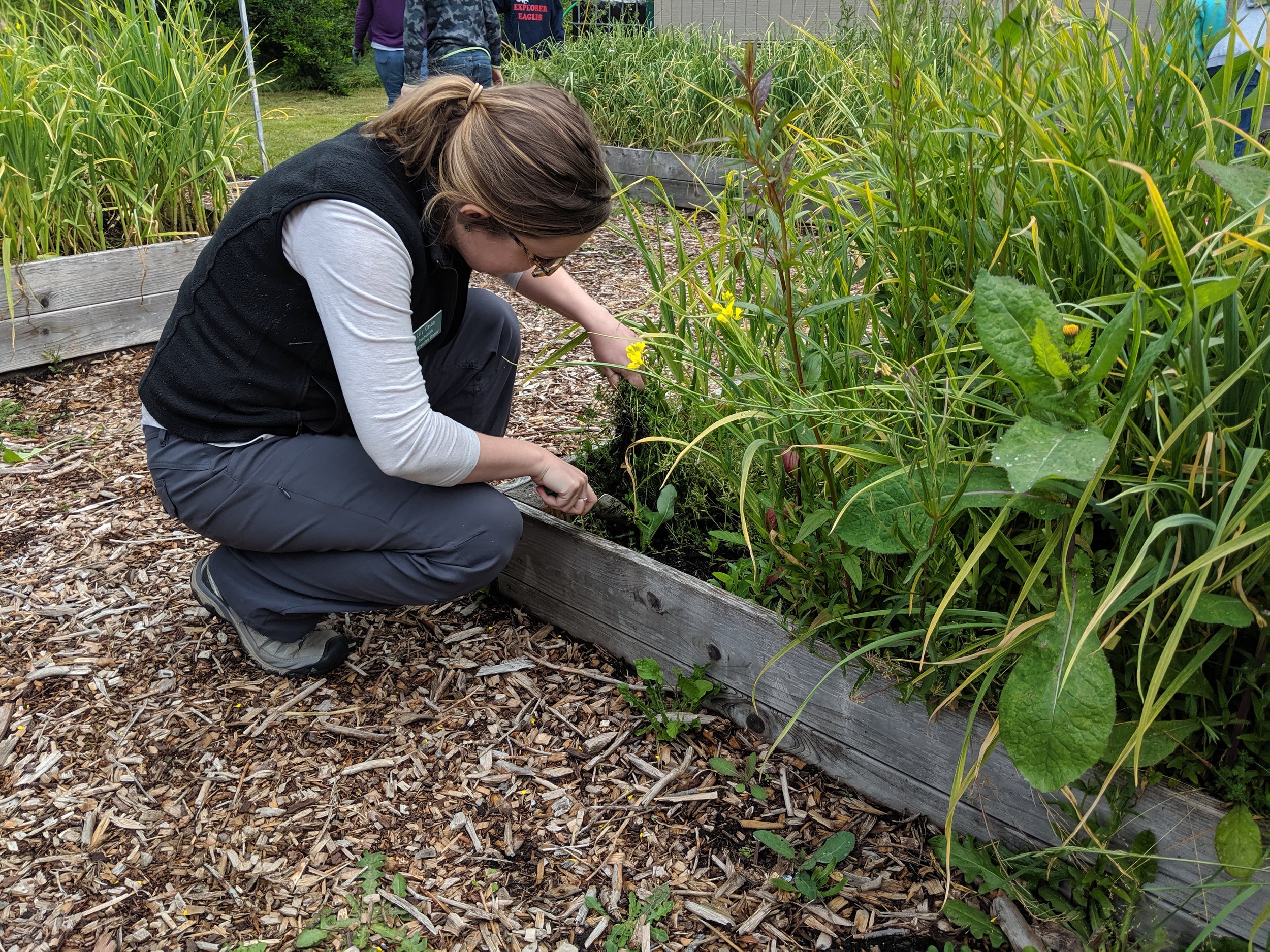 Youth Education Coordinator, Lily Cason helps weed the garden beds at the school - June 2019