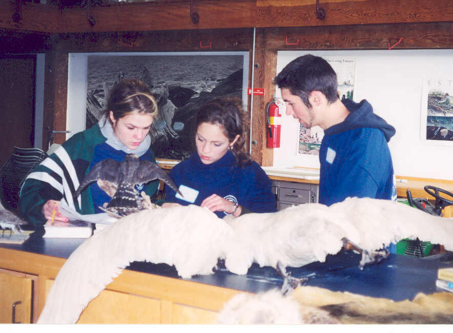  Wildlife Station, Envirothon, 2003 