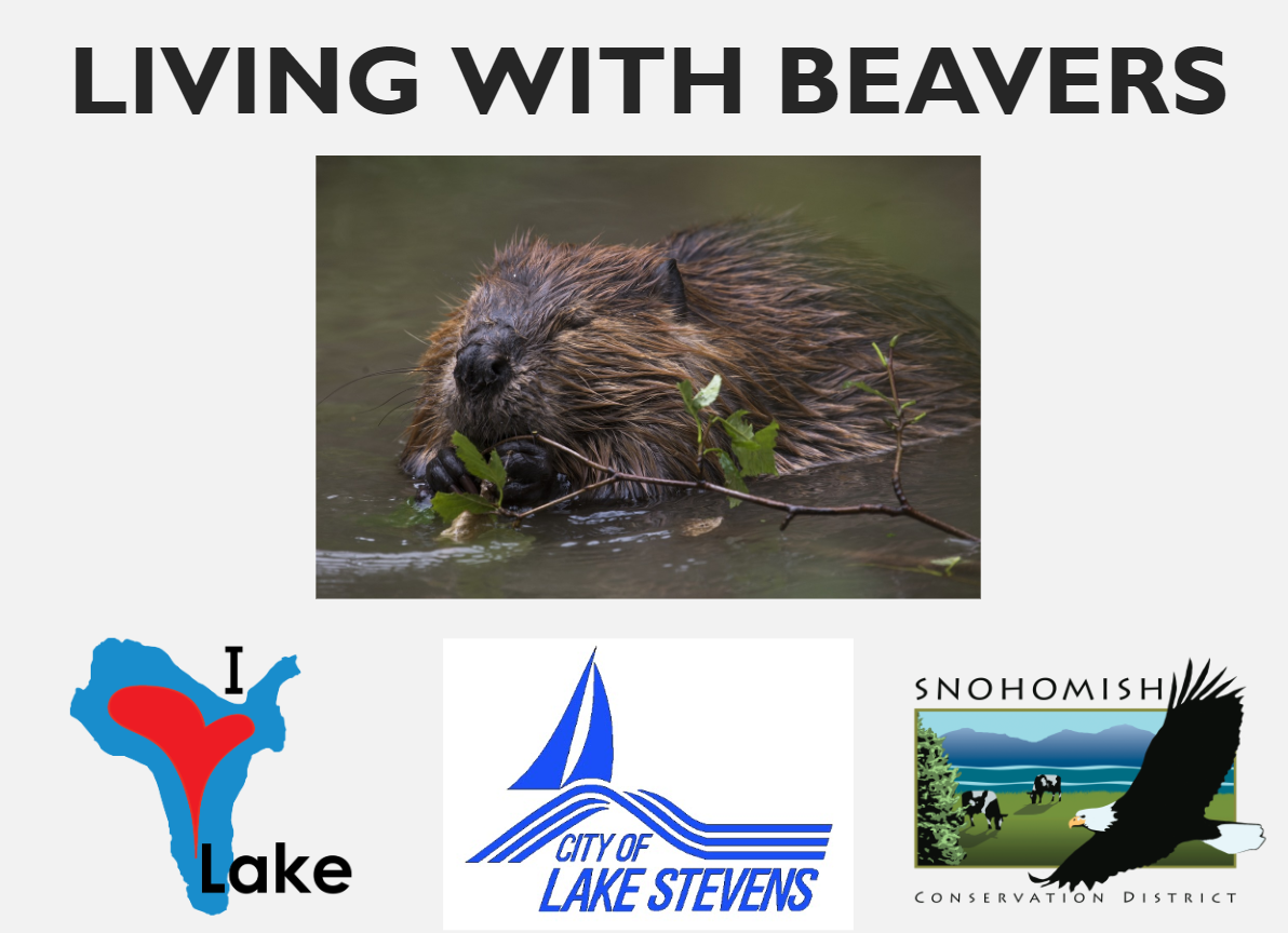 Living With Beavers Program