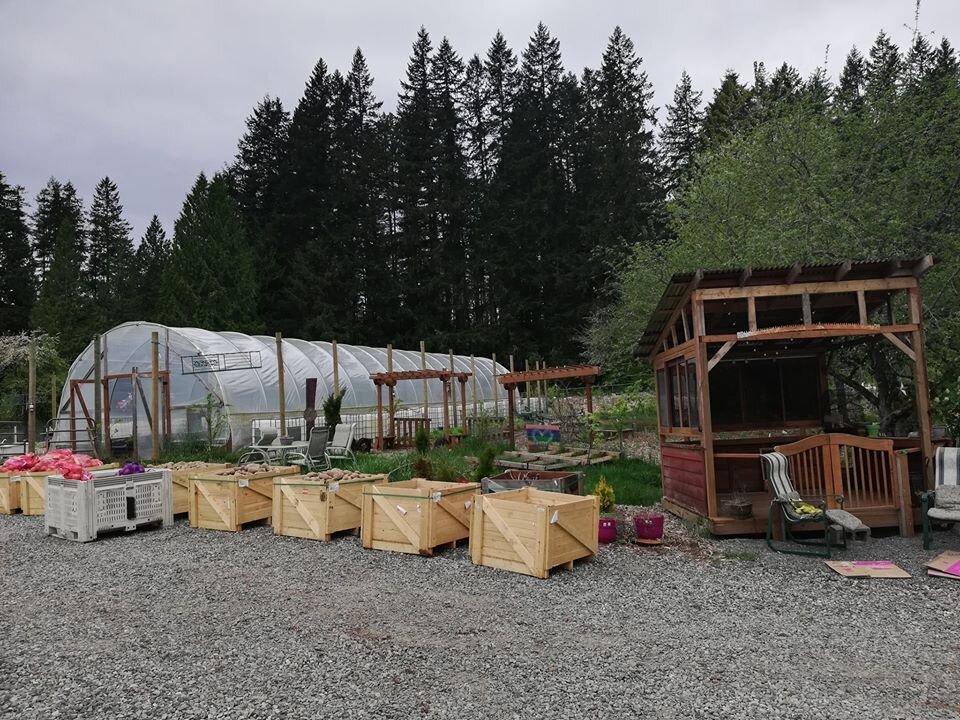 Farmer Frog's hoop house