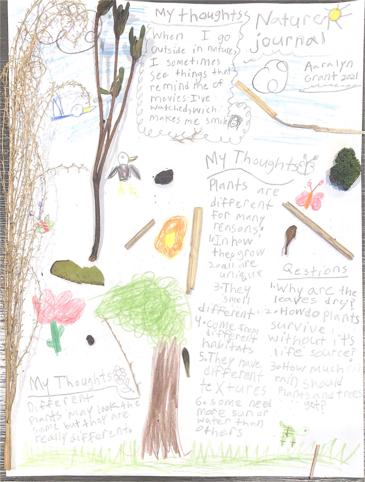 My Nature Journal by Aaralyn Grant - 2nd Place - Grades 1-2