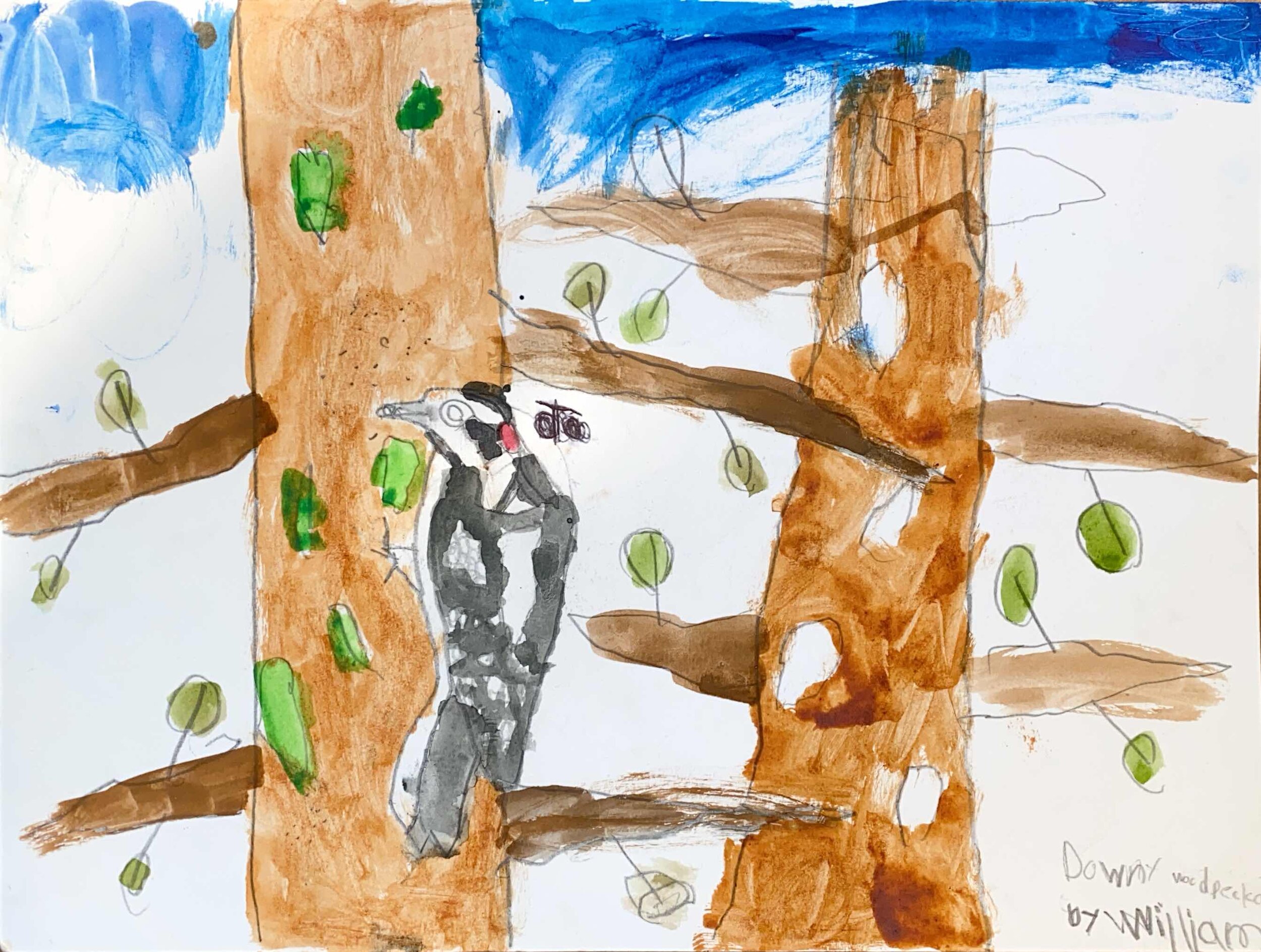Downy Woodpecker by William Johnson - 3rd Place and People's Choice - Grades 1-2