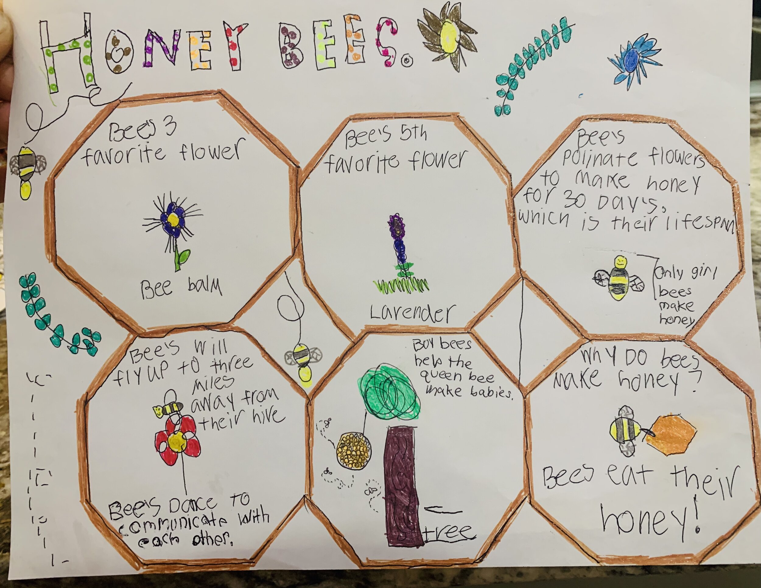 Life of Honeybees - by Lucy Boots - 1st Place - Grades 1-2