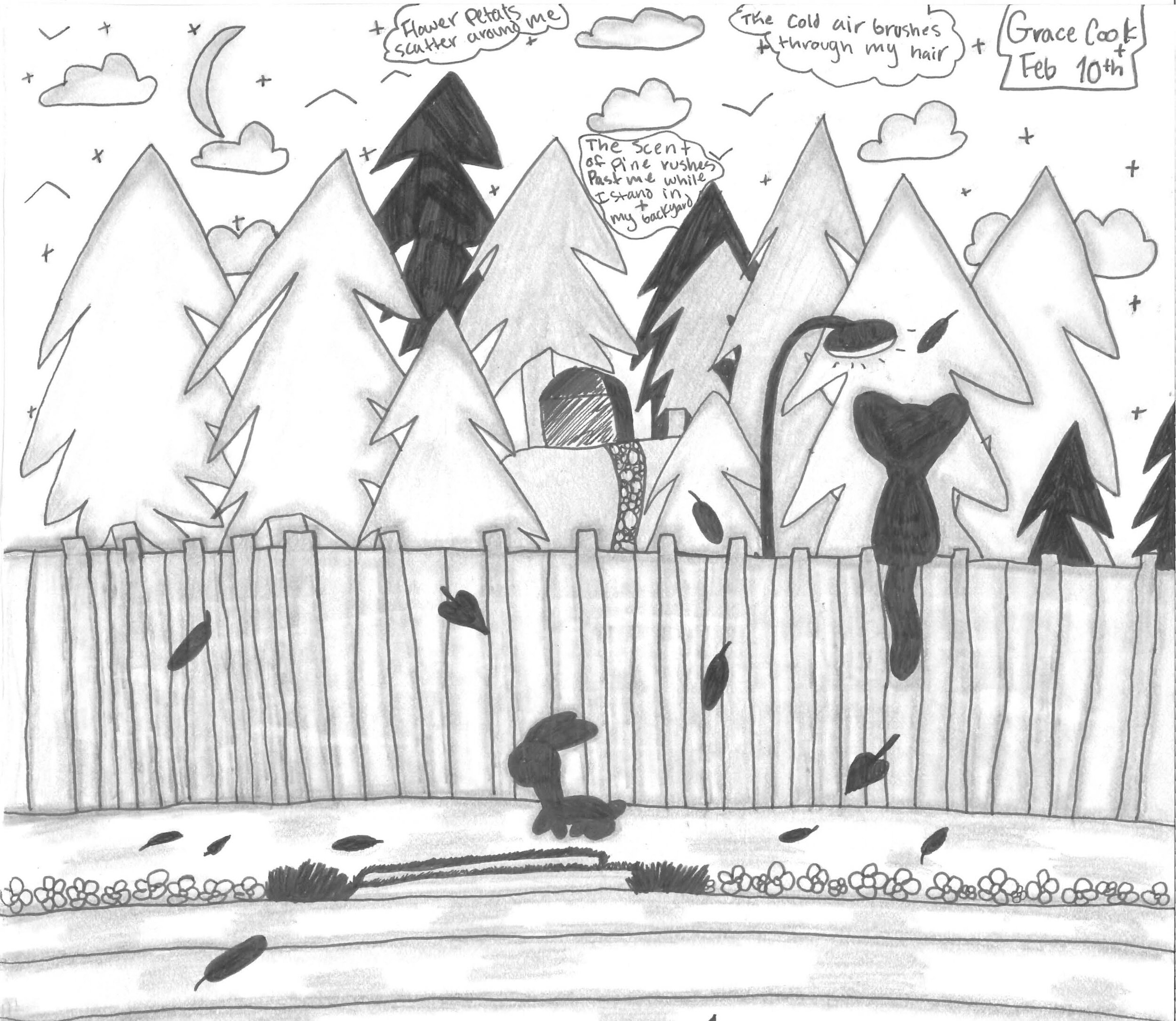 Backyard Heaven by Grace Cook - 2nd Place - Grades 6-8