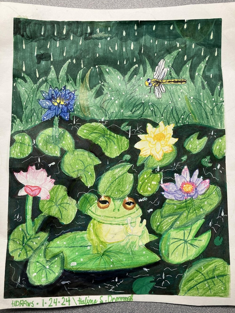 2nd Place: Froggie Says Hello in the Rain by Halima Drammeh