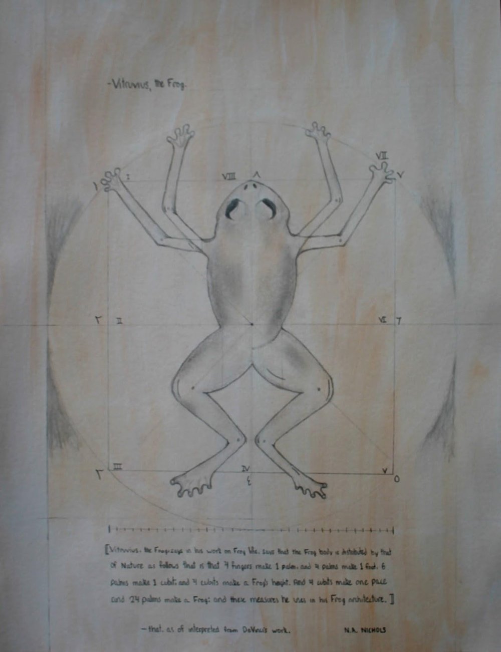 Tied for 3rd Place: The Vitruvian Frog by Nathan Nichols