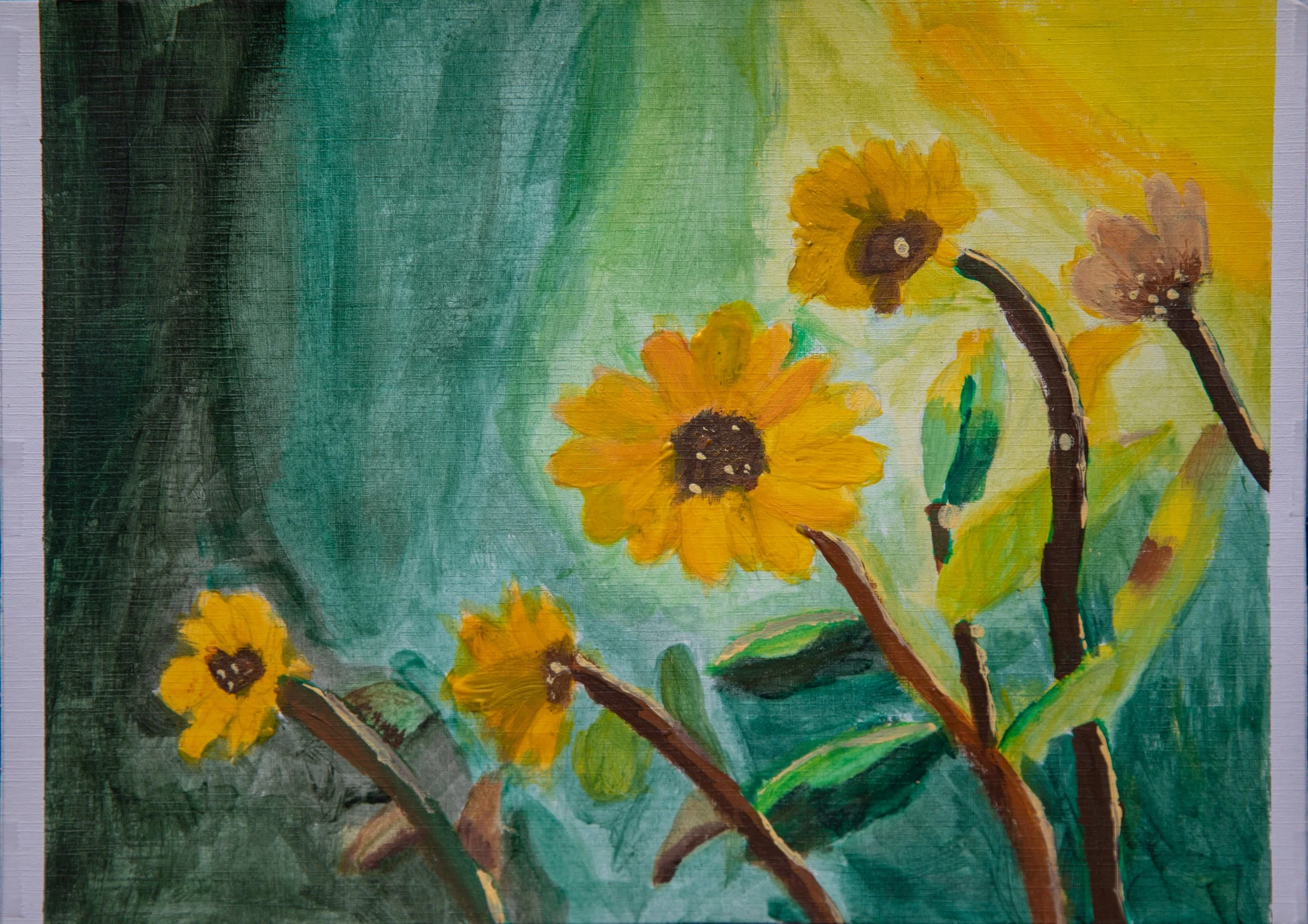 1st Place: Balsamroot flowers by Bessie