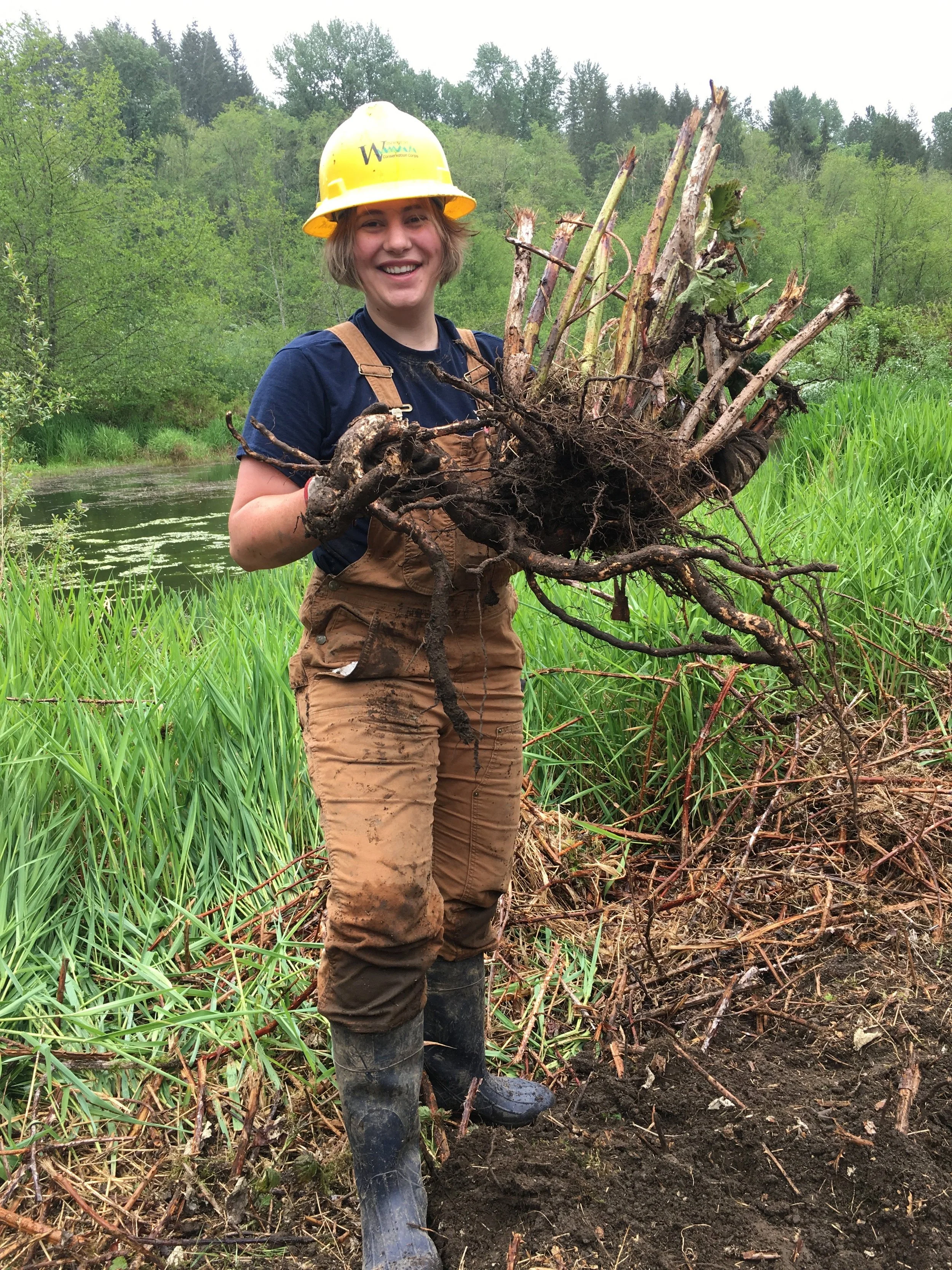 A Decade of Partnership with Washington Conservation Corps