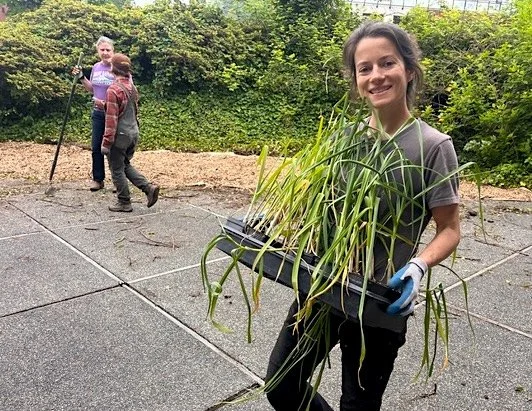 New community garden in Lynnwood part of broader effort to make fresh produce accessible