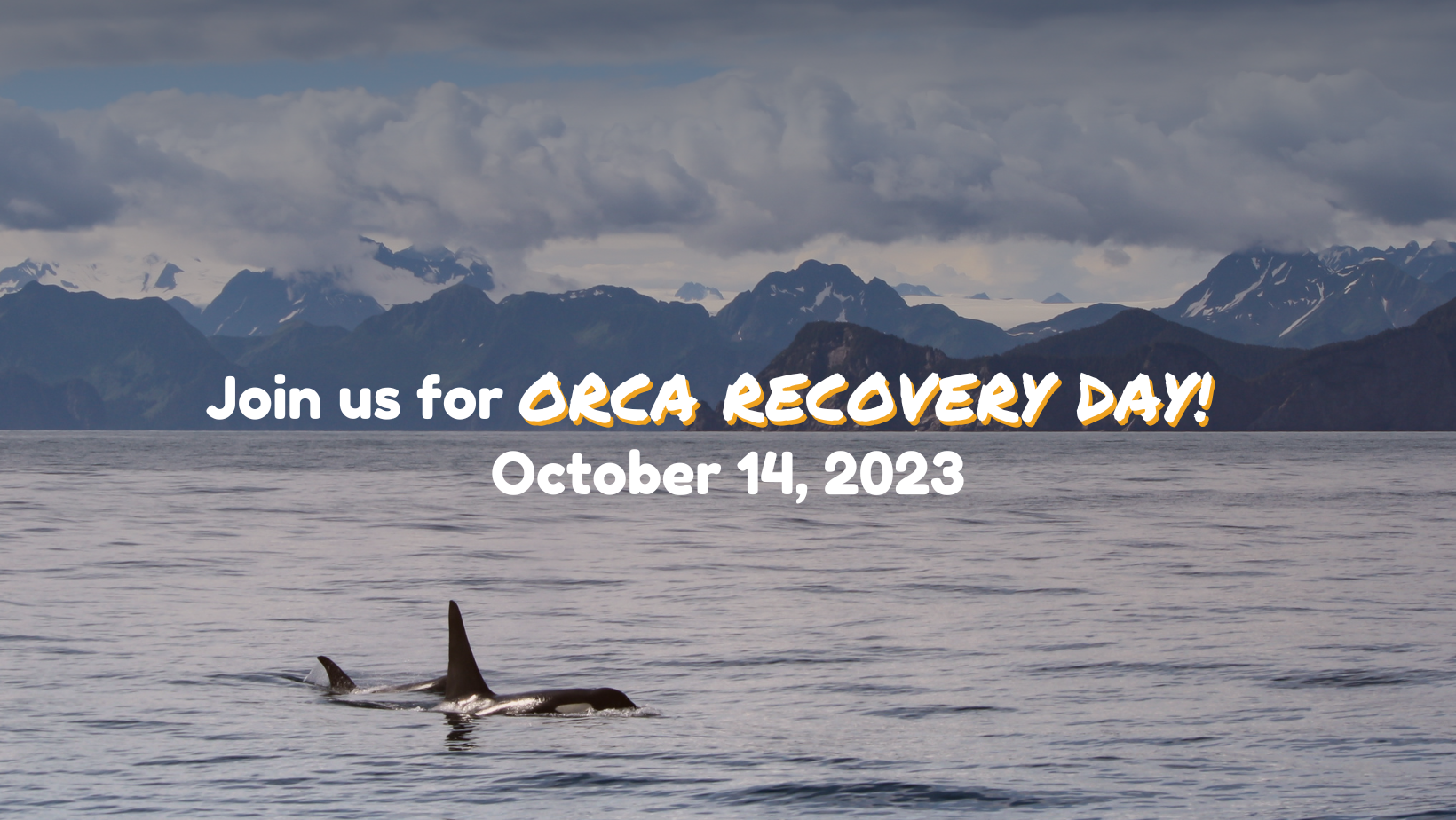 Orca Recovery Day — Snohomish Conservation District