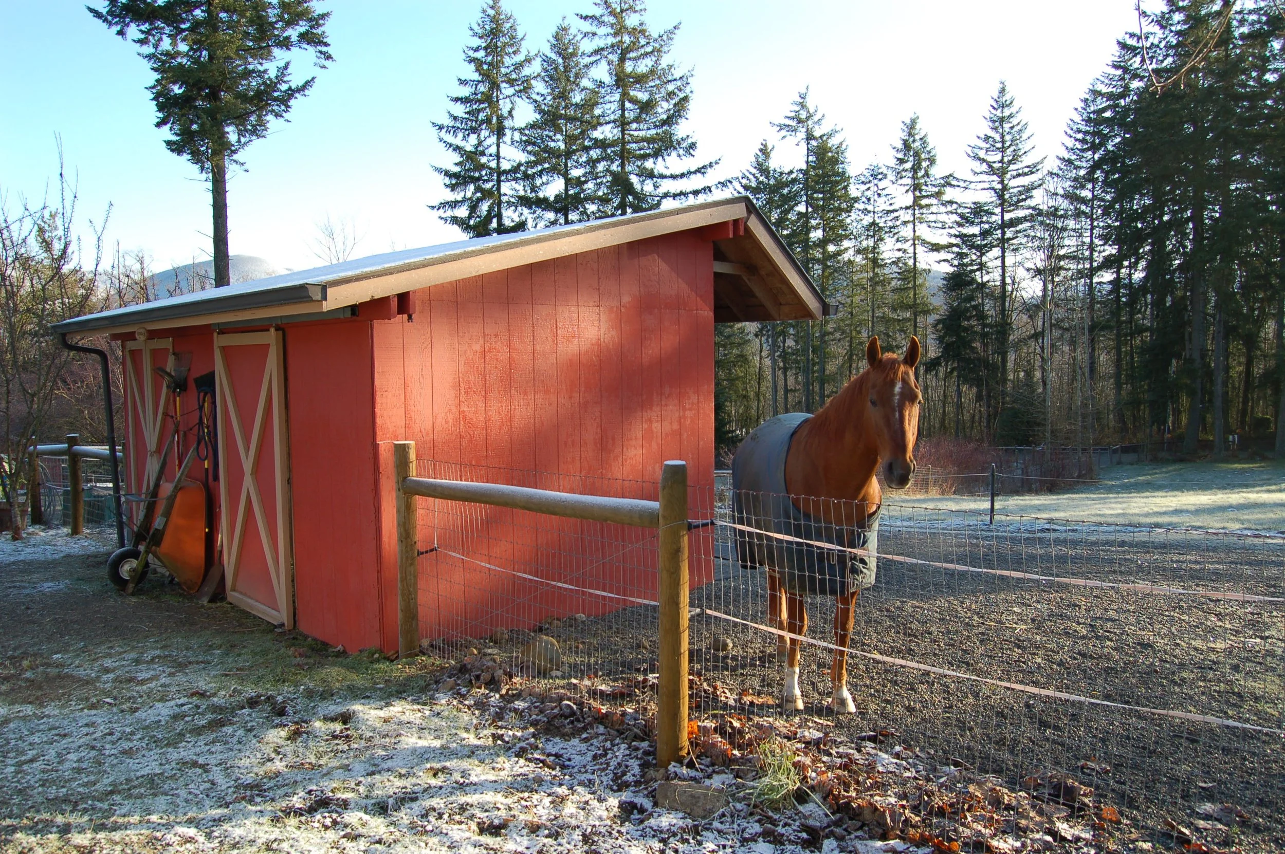 Preparing Horse Properties for Winter — Snohomish Conservation District