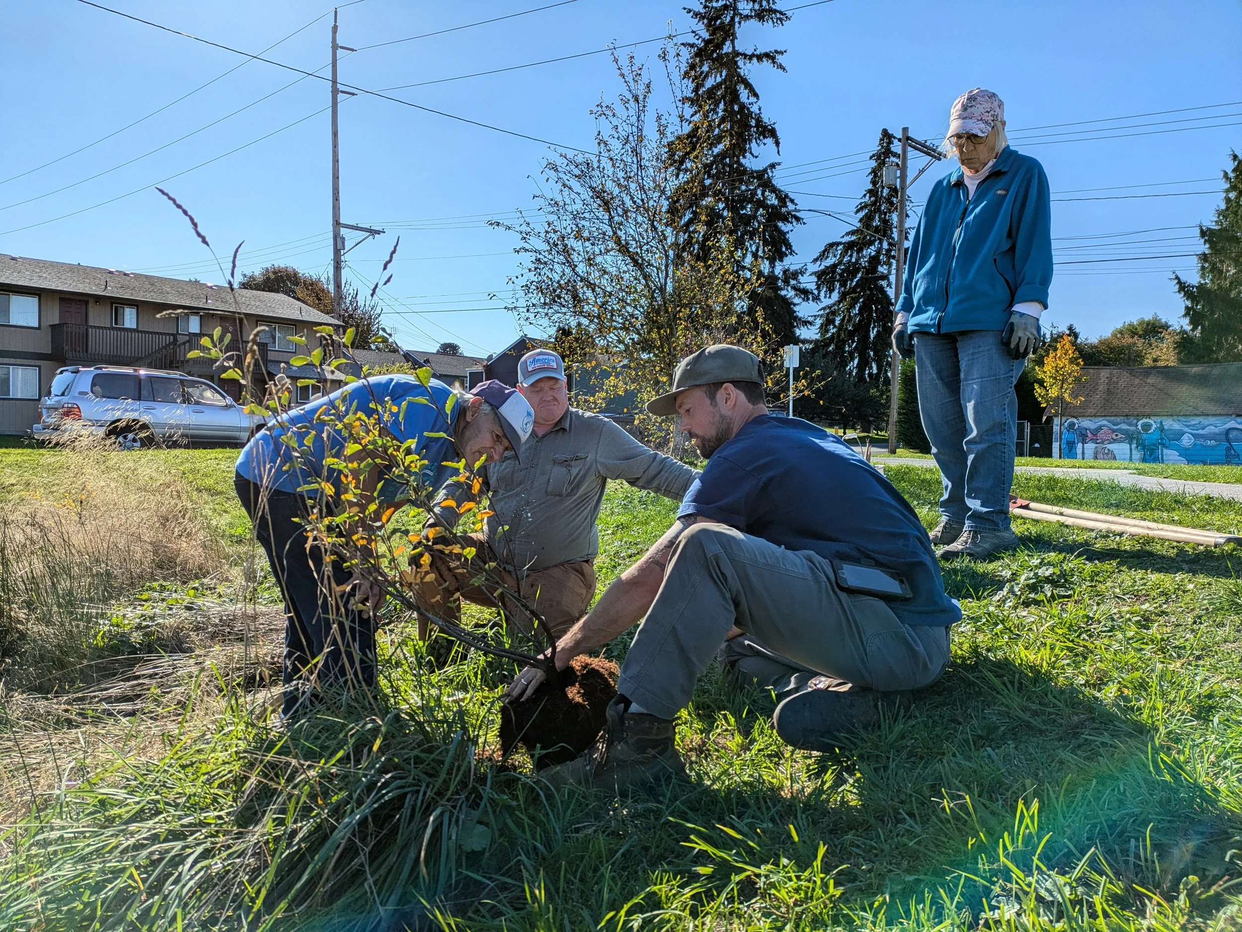 Urban & Community Forest — Snohomish Conservation District