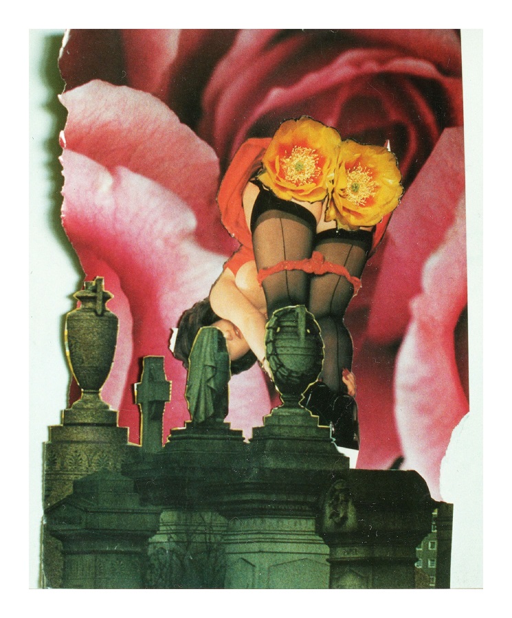 the mystery of sex 1980