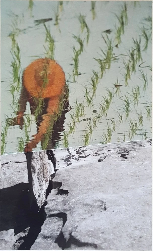 Toiling - 2017 - Collage