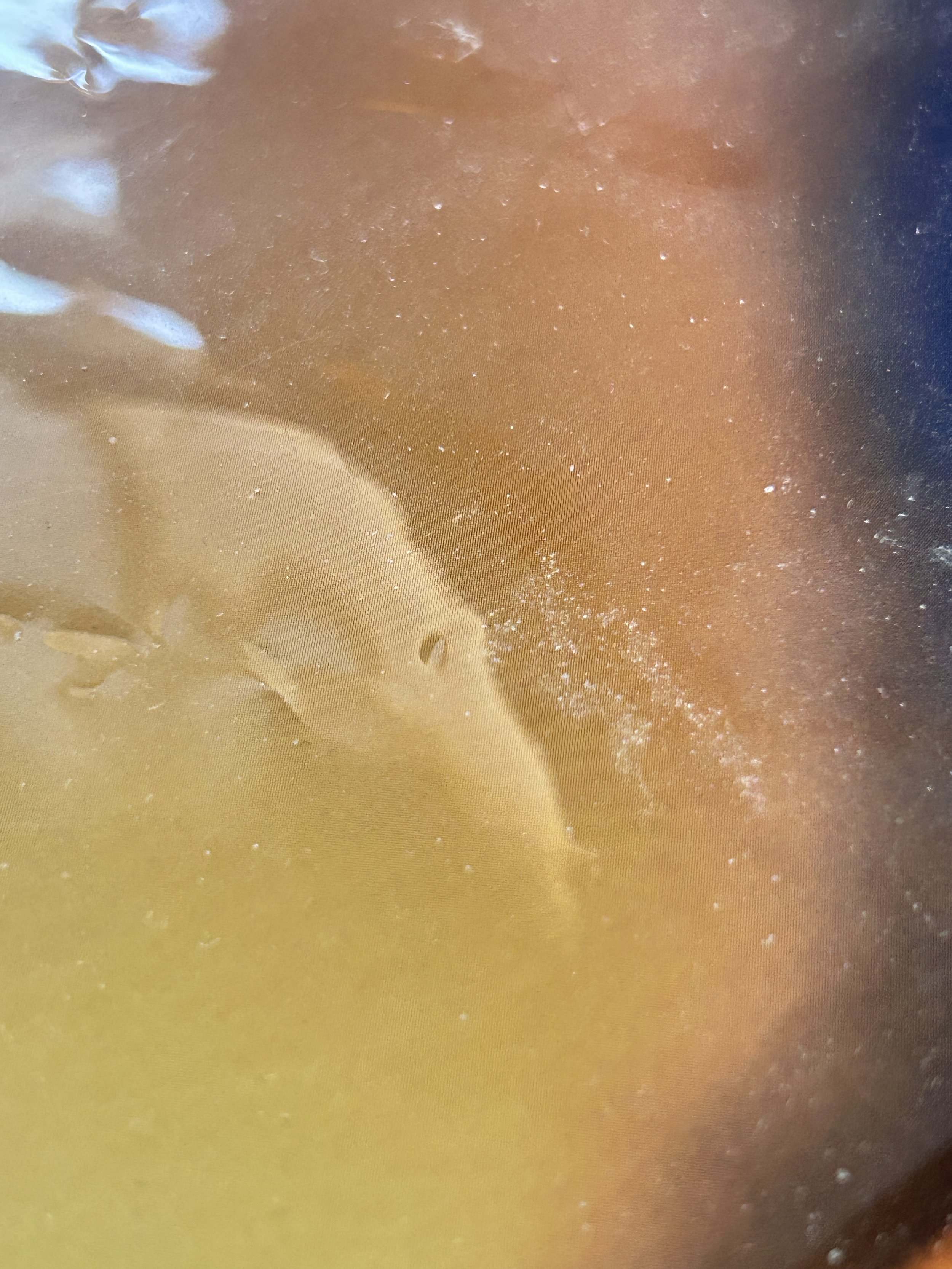 underwater.JPG