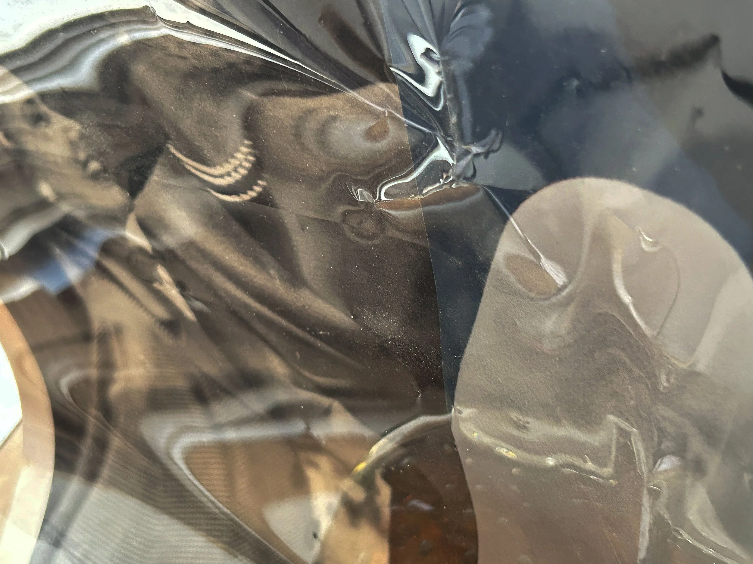 IMG_7392_copy_P S.JPG