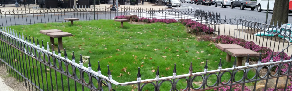 Sonny-Bono-Park-for-GoTripping.jpg