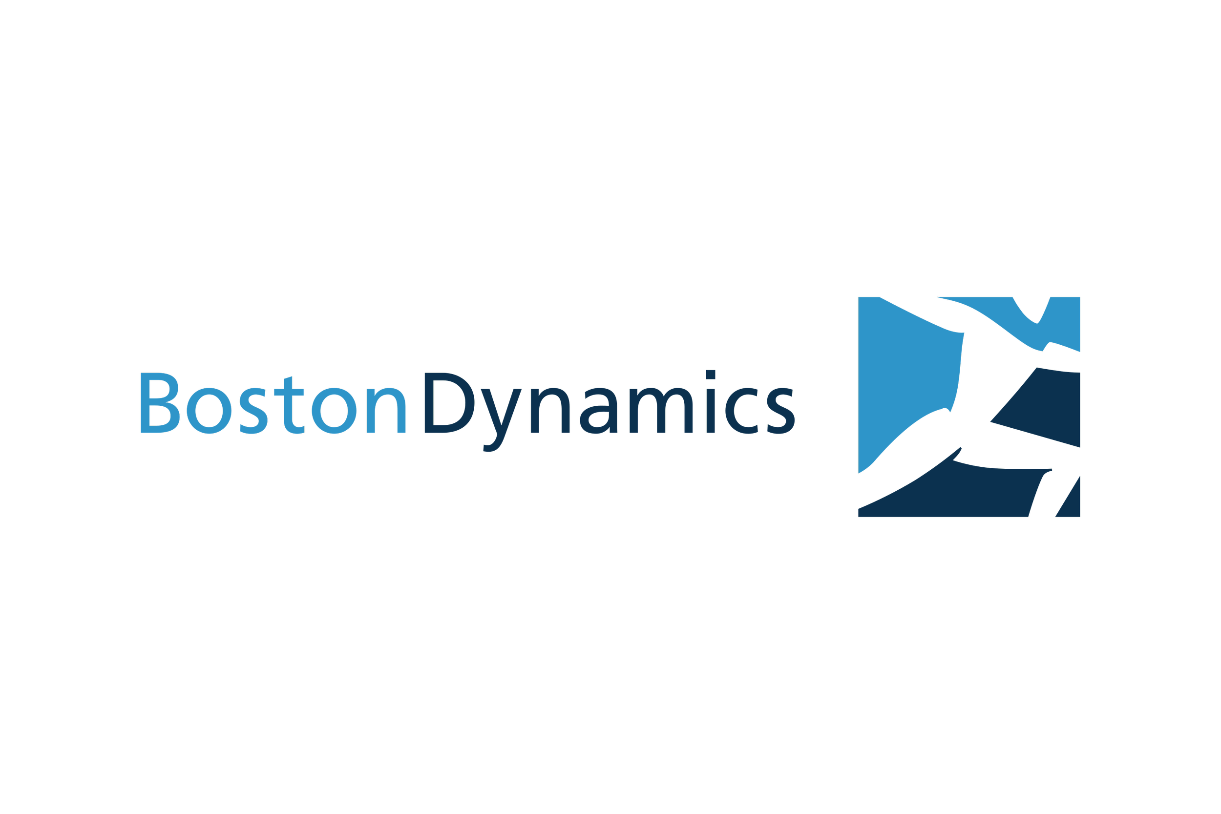 Boston_Dynamics-Logo.wine.png