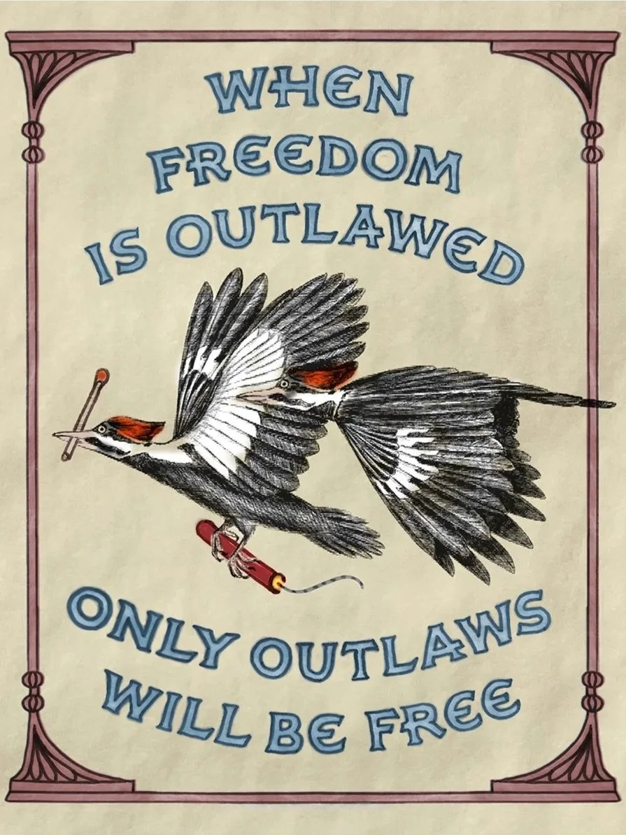 outlaws_print.jpg