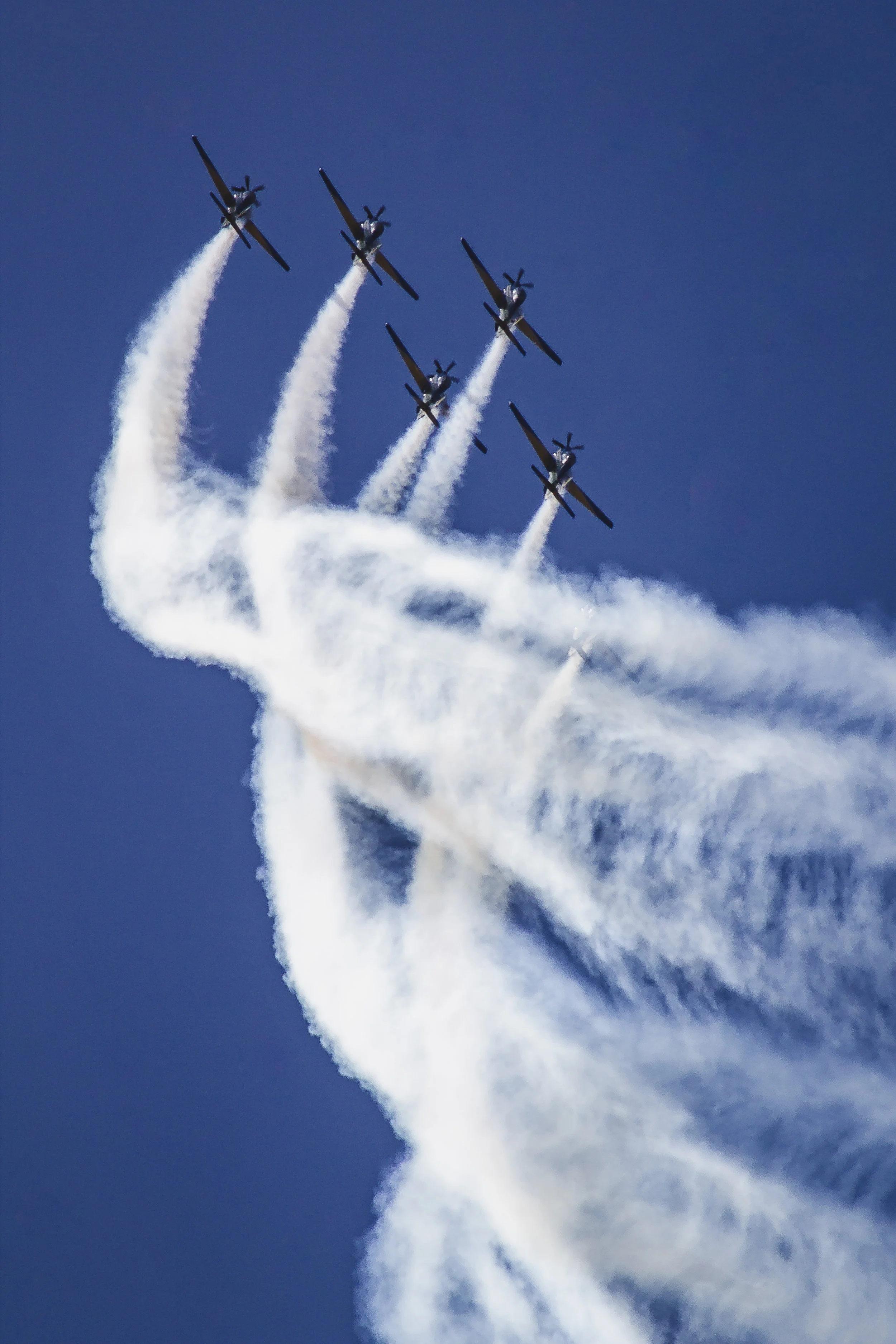 Spontaneous Unison- Online! 