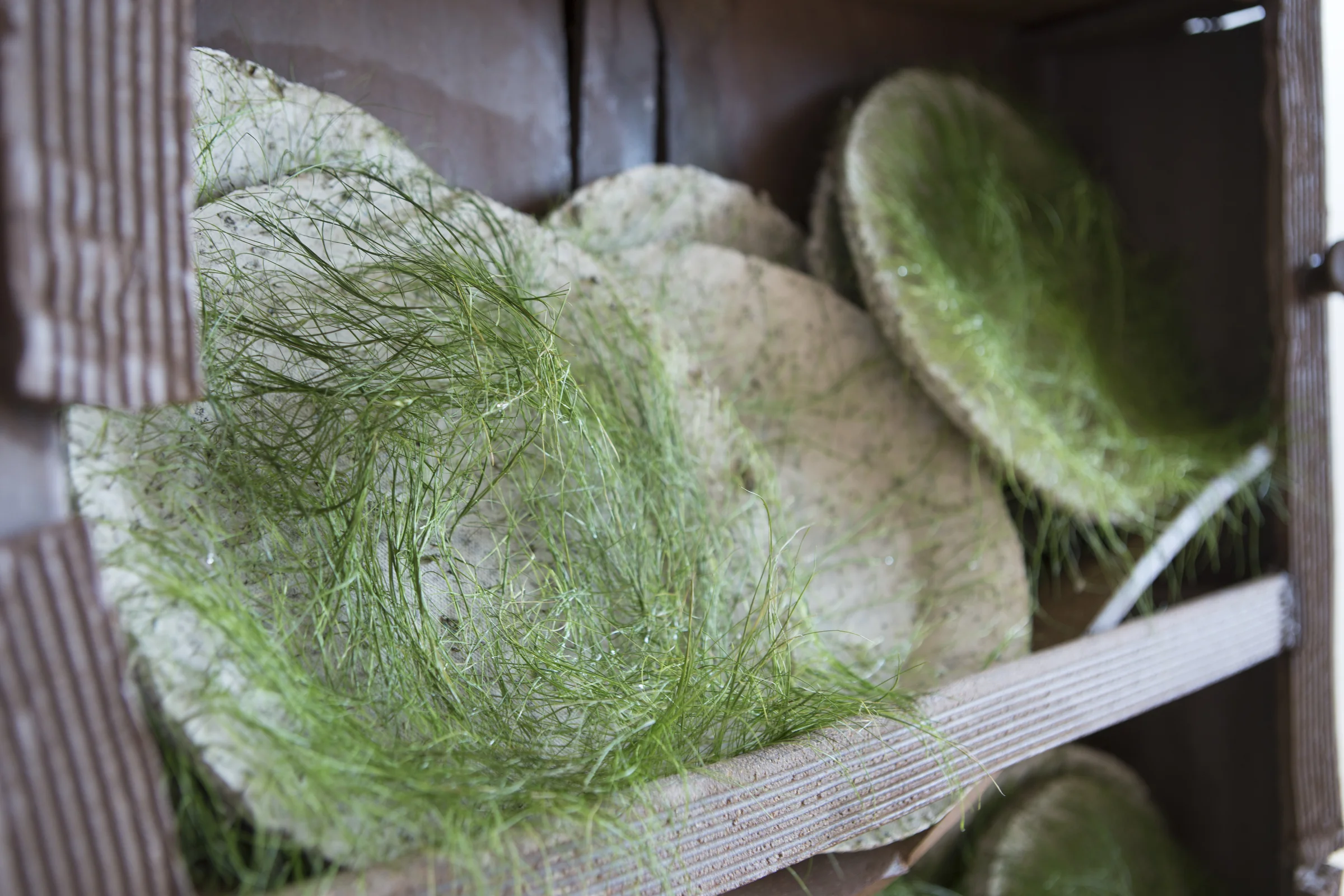 Moving On, Separately (detail)