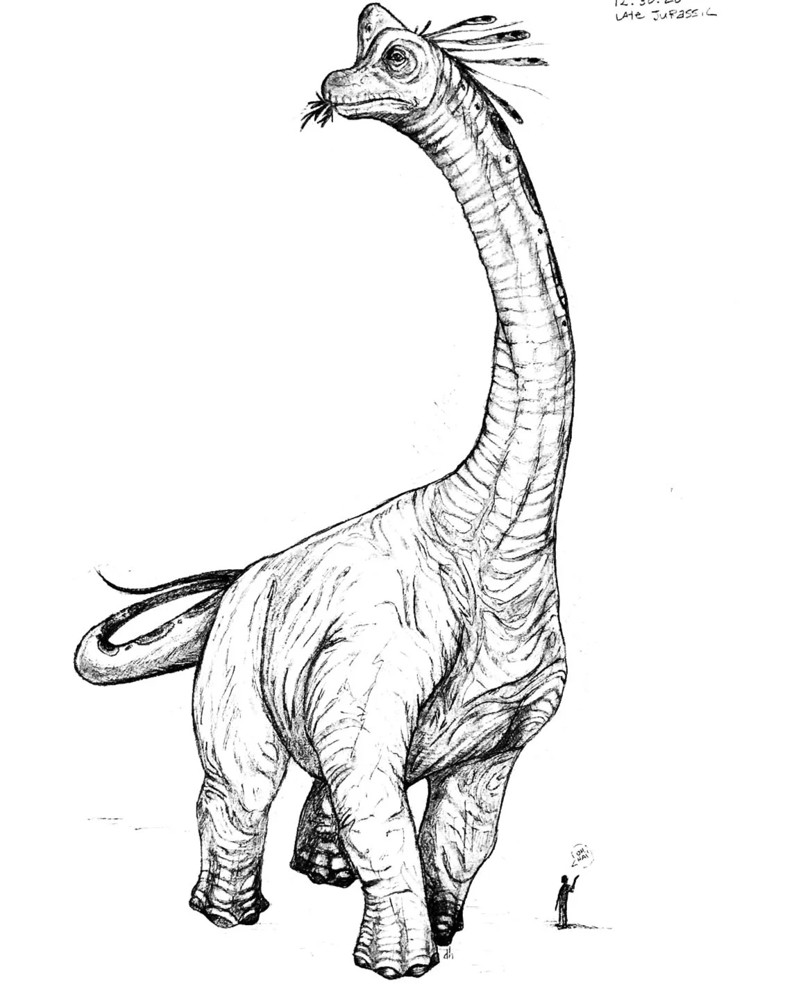 A Tall Drink of Water