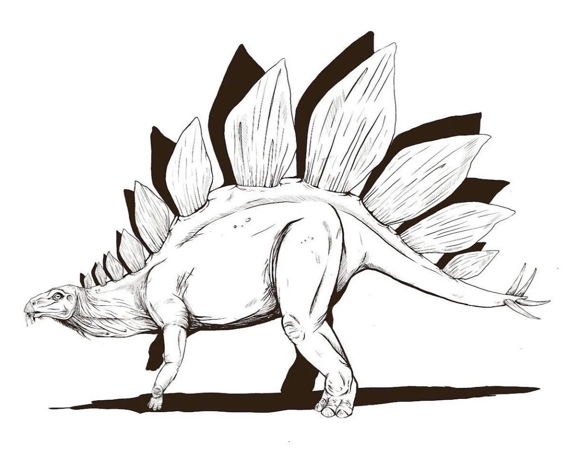 Stegosaurus