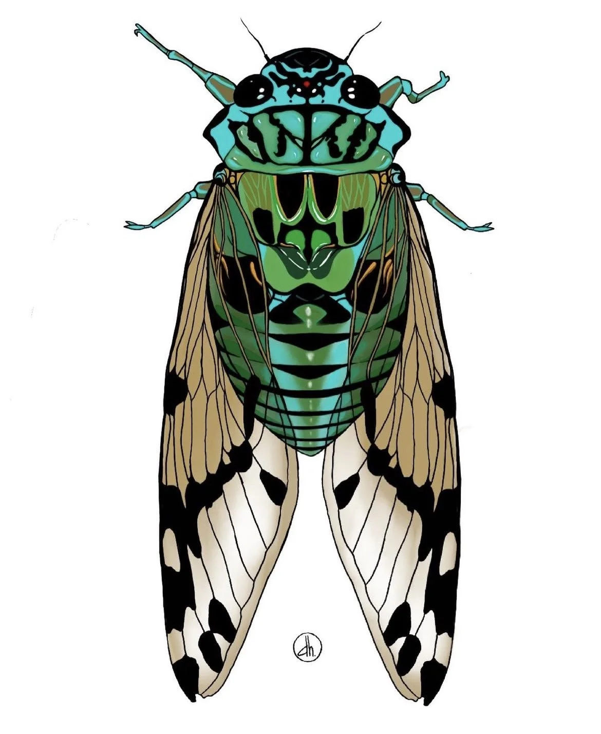 Emerald Cicadea