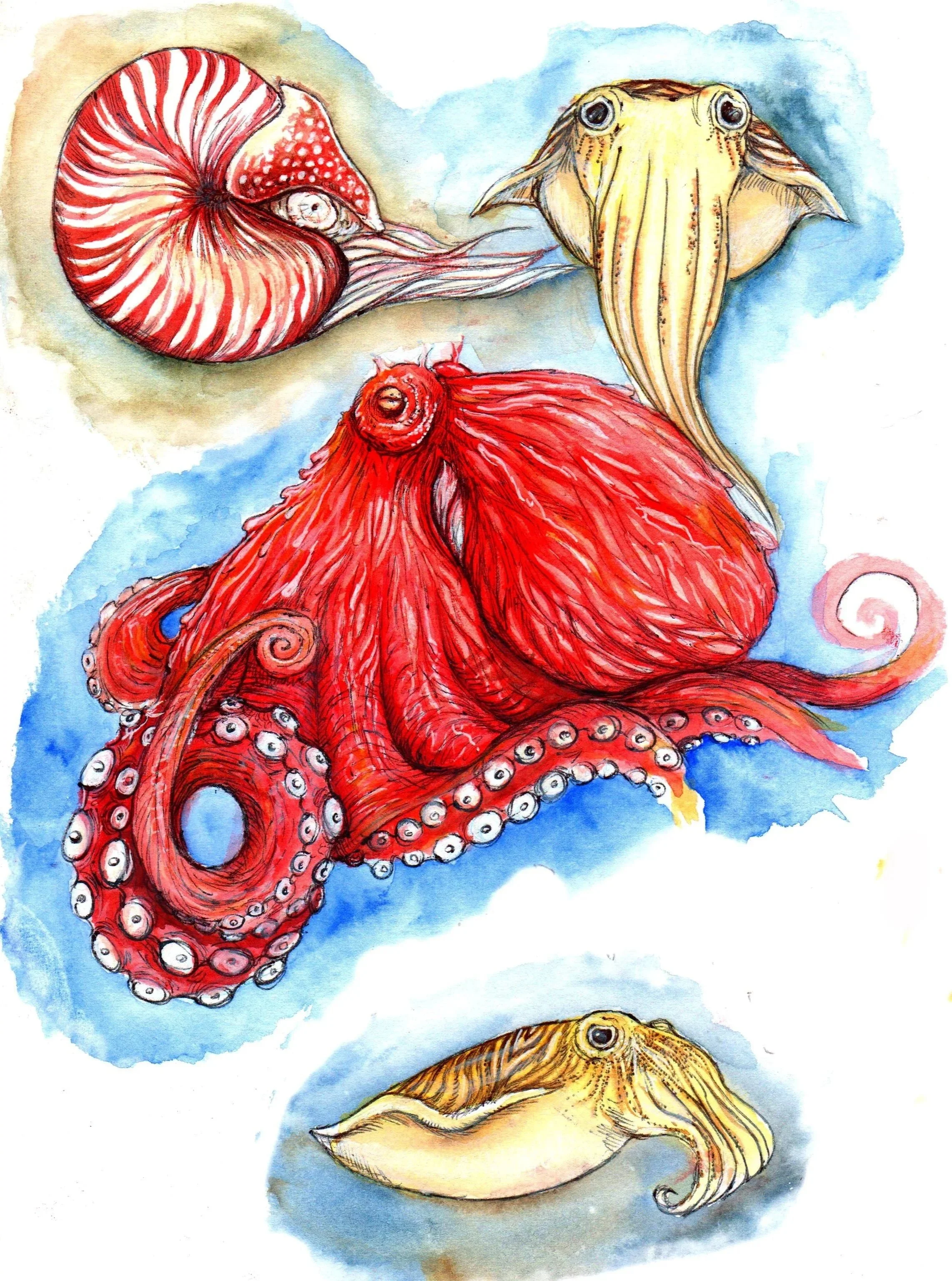 Tubes and Tentacles