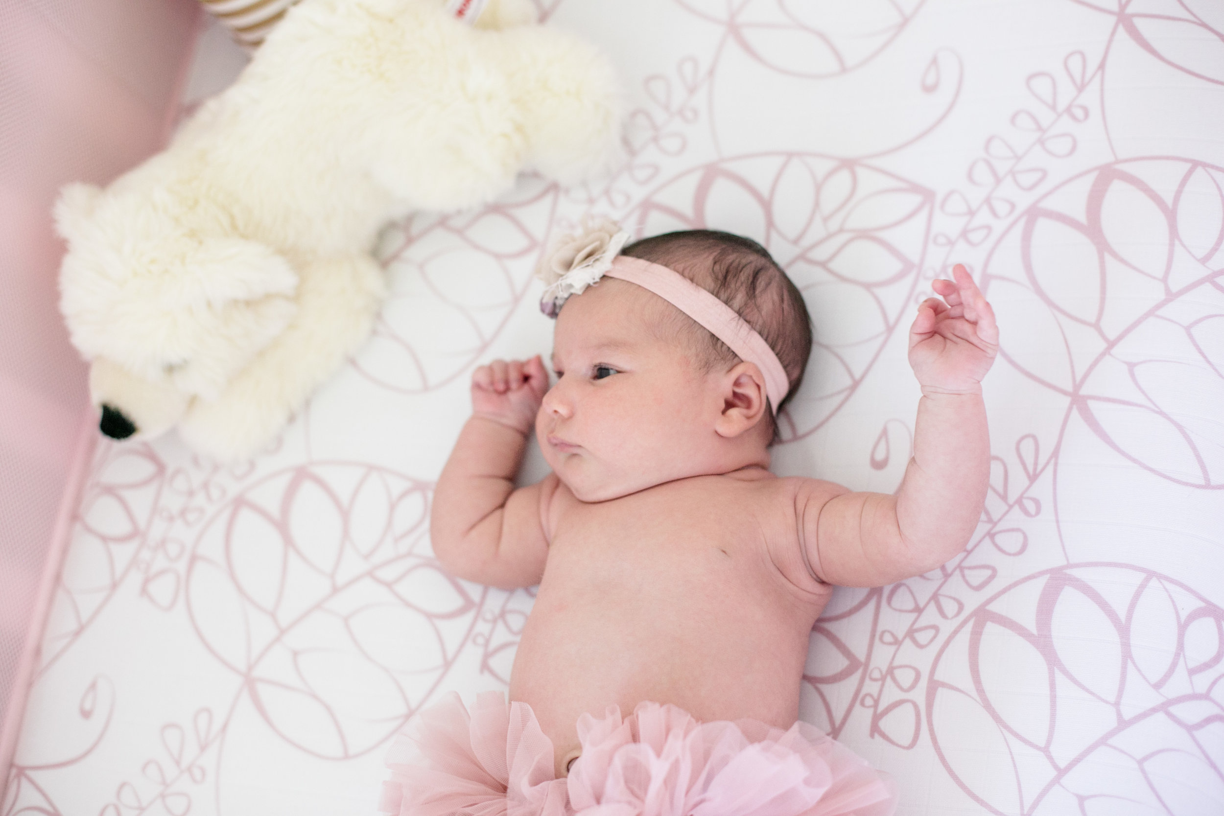 Dougher Newborn Session 2017-4.jpg