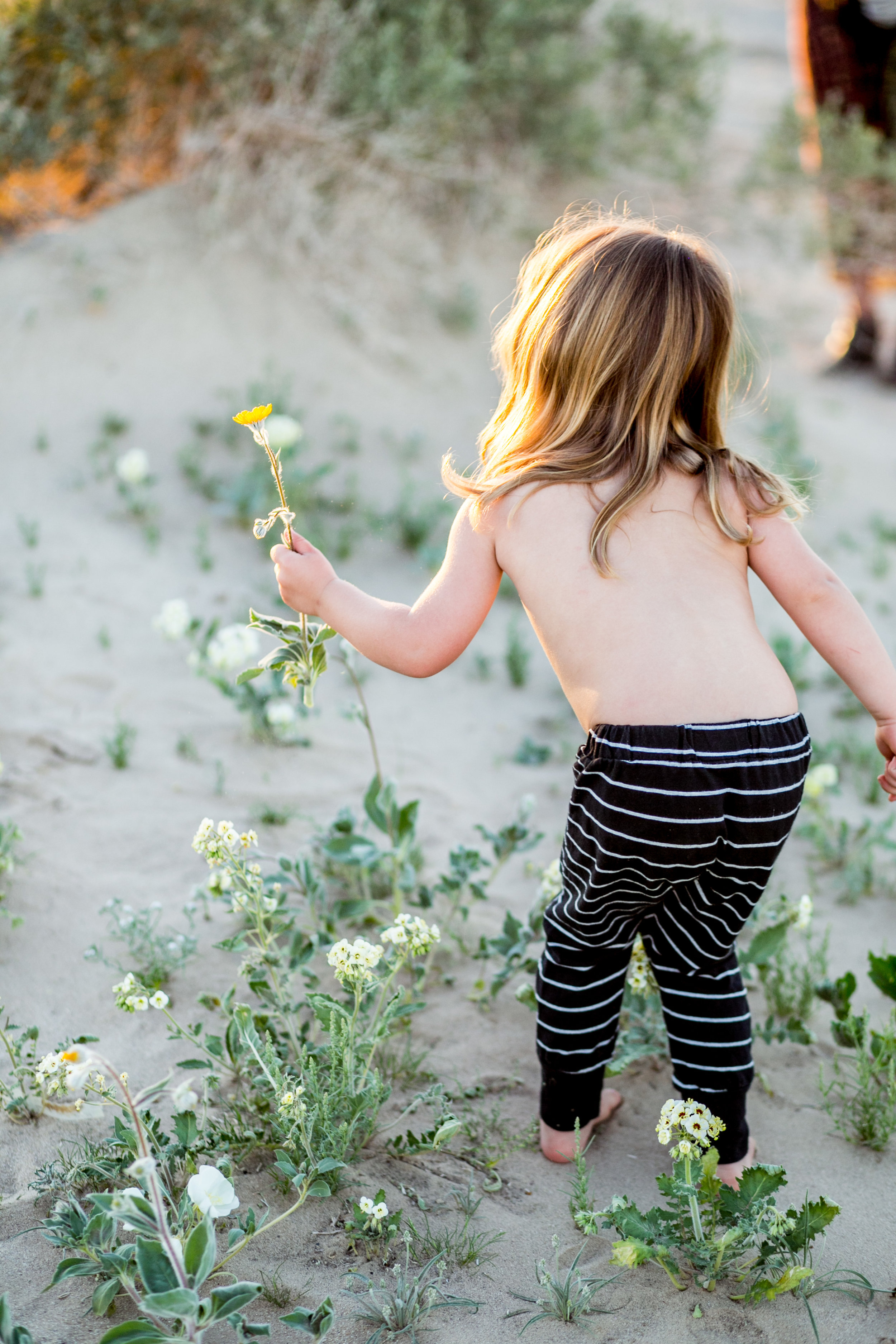 Cara's Maternity Session-22.jpg