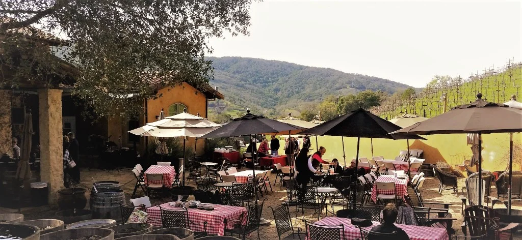 Picnic-area-1024x472.jpg
