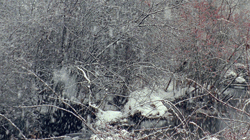 Rhys Hecox, from The December When I Hit a Deer , 2016, 16mm film, infinte loop © Rhys Hecox