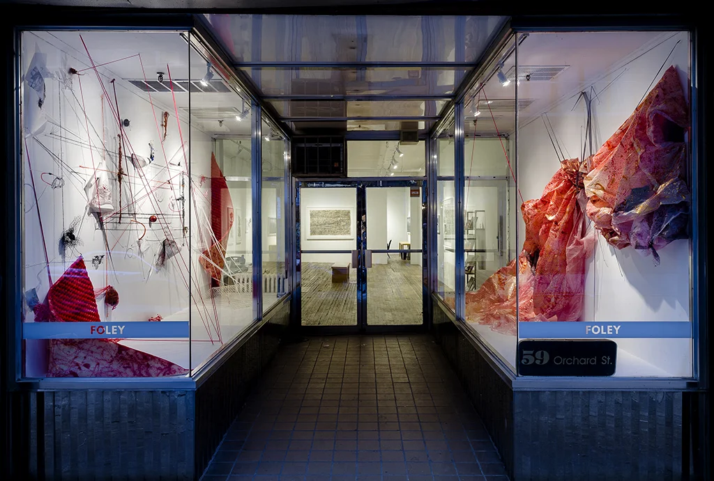 Double Indemnity, 2015 Mosquito netting, foam rubber, plastic tarp, mylar, lenticular plastic, plastic mesh, silicone tubing, digital prints, acrylic paint, metal staples, Yupo, t-pins Dimensions variable At Foley Gallery, NYC