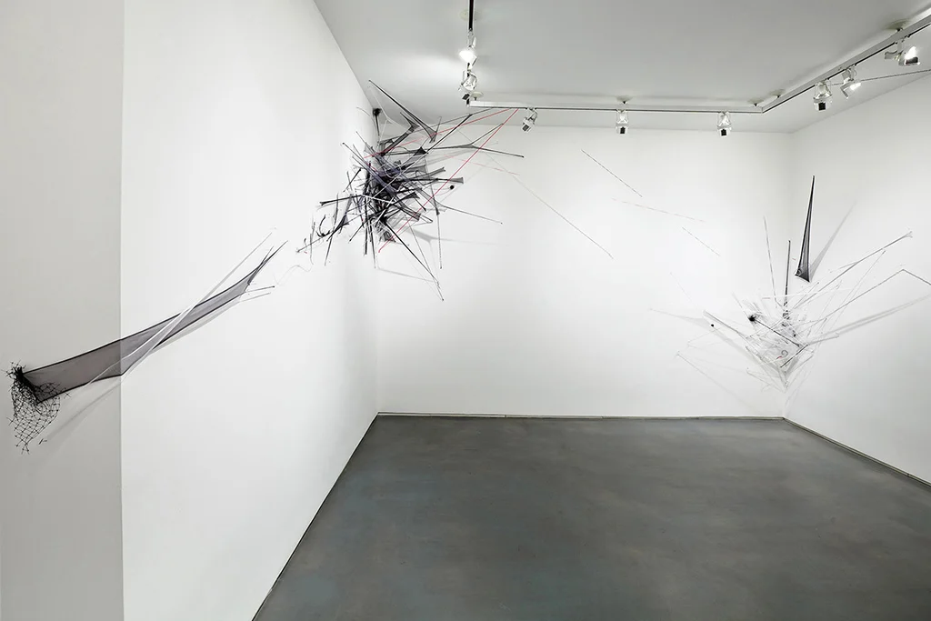 The Big Heat, 2011 Mosquito netting, plastic mesh, vinyl tubing & lanyard, rubber tubing, t-pins Dimensions variable At Lori Bookstein Fine Art, NYC