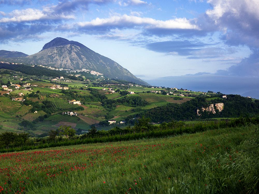 The Mountain , Benevento, Italy, 2015
