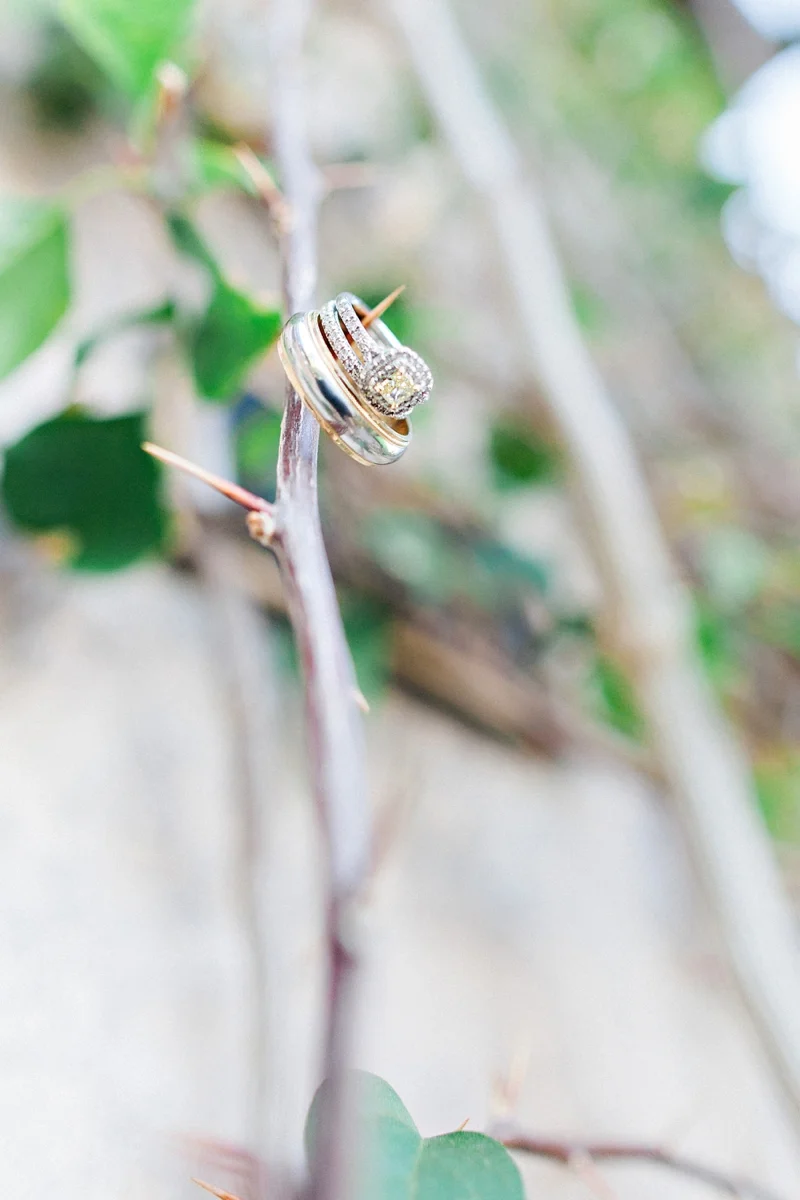 conover_0654_blog.jpg