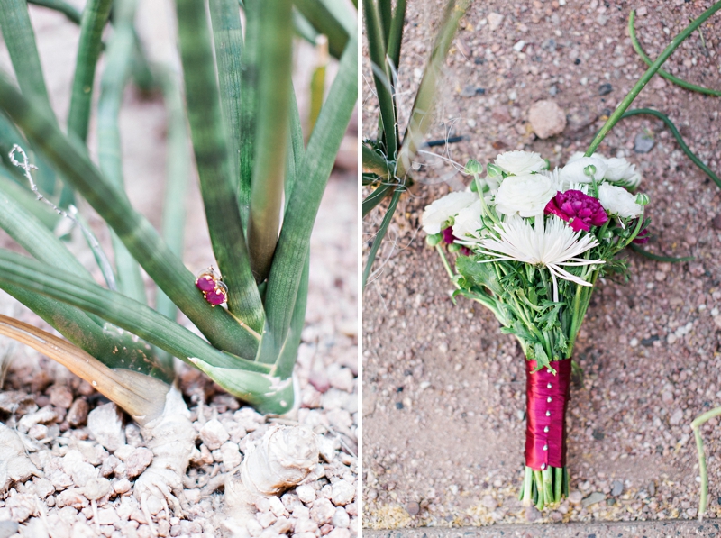 Desert Botanical Garden Wedding Phoenix Wedding Photographer
