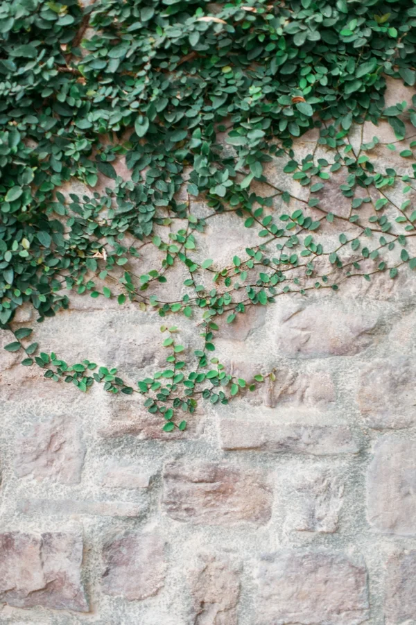 abode_blog_0010.jpg