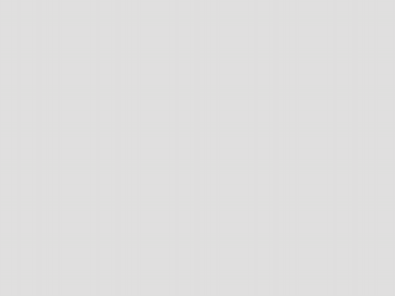 Trash_Dribbble_1.gif