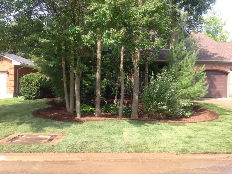 garden002.jpg