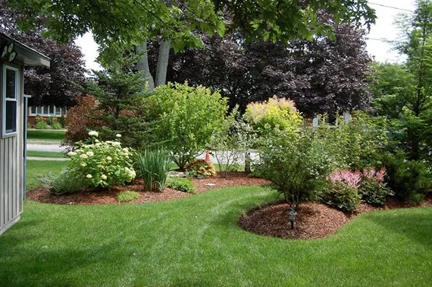 garden001.jpg