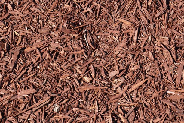 Pine Mulch