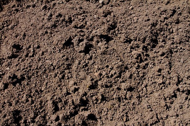 Screened Soil