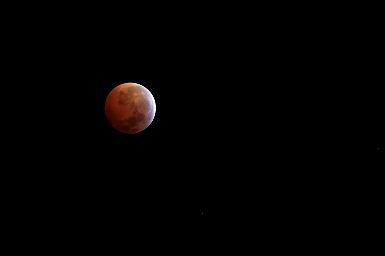 Blood Mooon 2019 Michael Lees.jpg