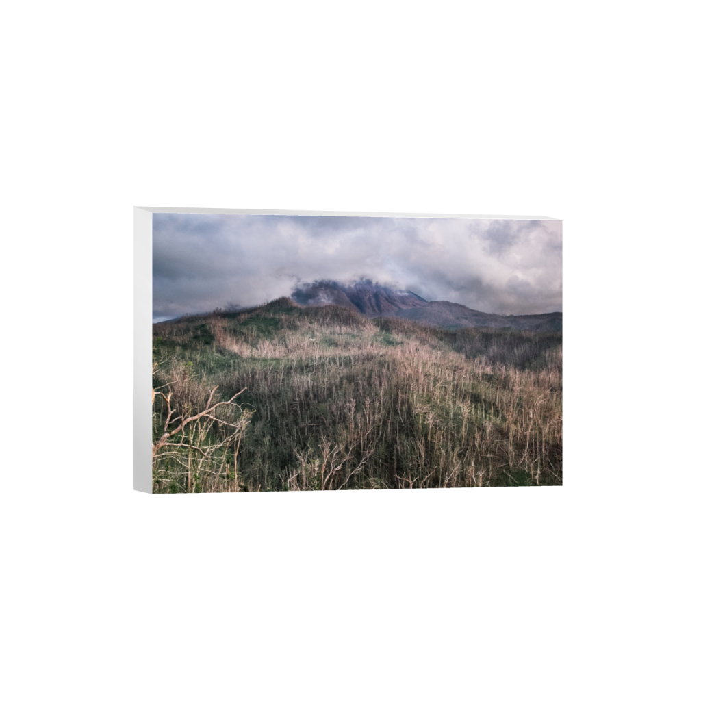 canvas_rectangle2_3_222_0_3442_2295_0_false_ffffff_0_0.png